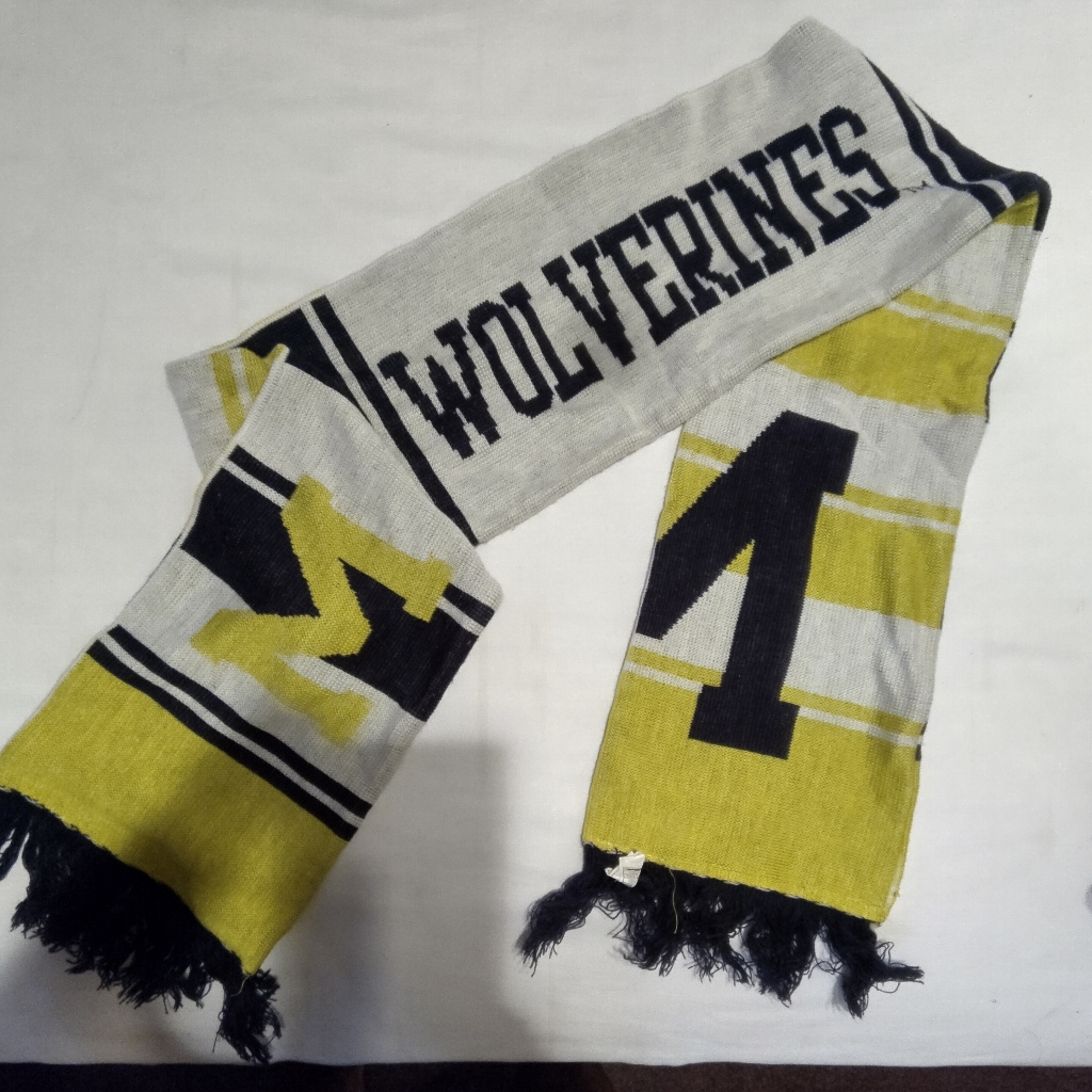 Ncaa Football Michigan Wolverines Scarves